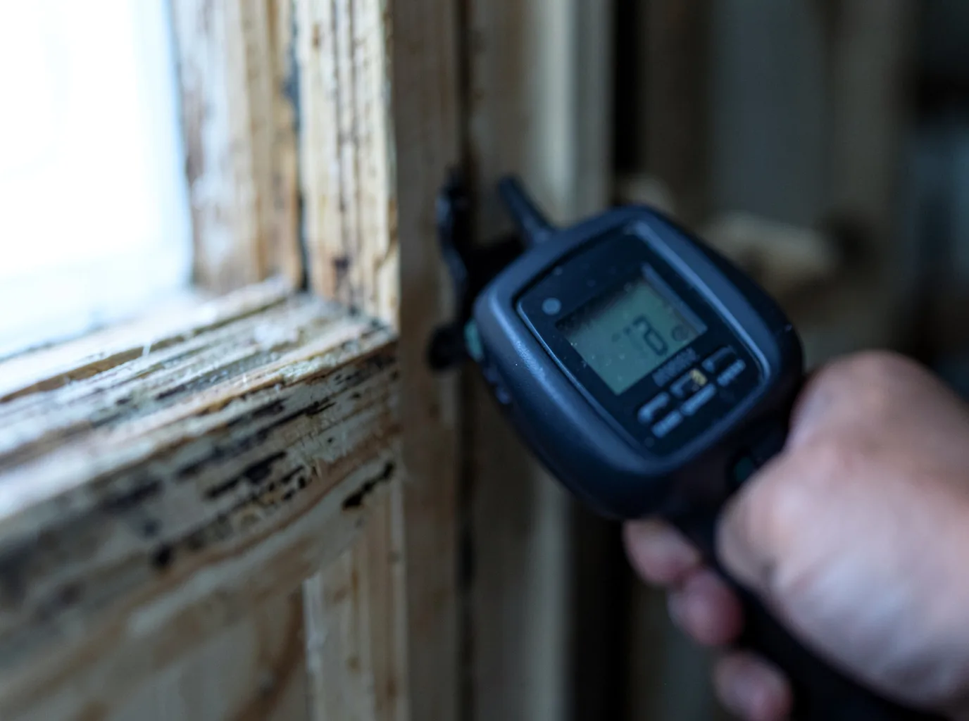 Moisture Inspection And Documentation in Swisher, IA